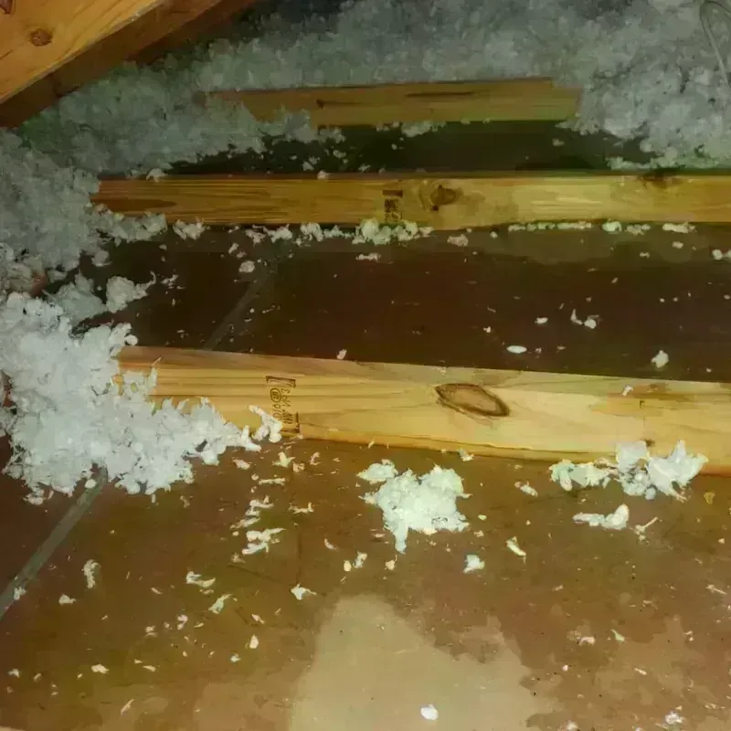 Attic Water Damage in Owensboro, KY